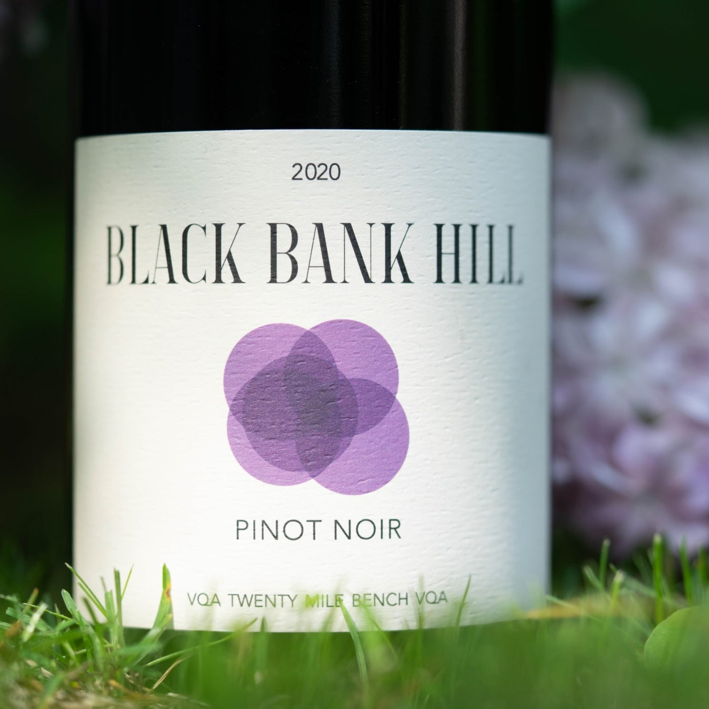 Black Bank Hill 2020 Pinot Noir, Twenty Mile Bench VQA